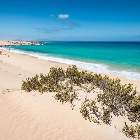 Apartment Home2book Sea Front El Granillo, & Wifi Costa Calma